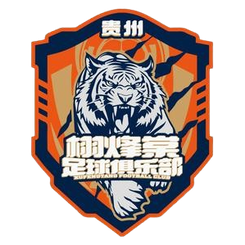 成都宇晖仁德